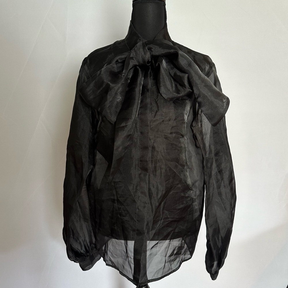 Elegant Black Sheer Blouse